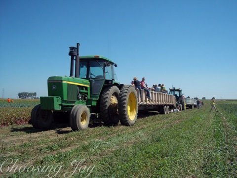 wpid-100_2277-wm-2013-09-19-22-30.jpg