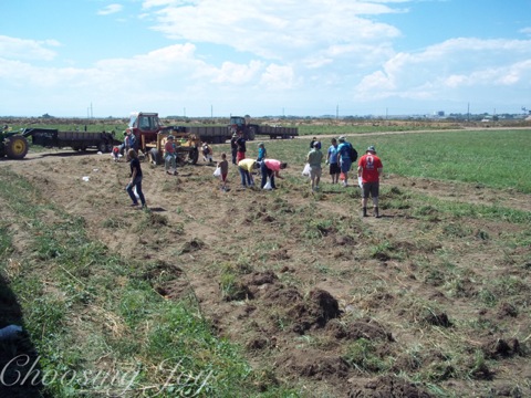 wpid-100_2296-wm-2013-09-19-22-30.jpg
